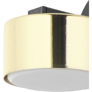 Kinkiet Glamour Dallas LED | TK Lighting - Złoty, Czarny