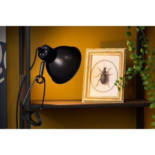 Lampa biurkowa Moys - czarna, klips - Lucide | Sklep