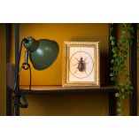 Lampa biurkowa klips Moys zielono-czarna Lucide | Retro Loft
