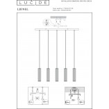 Lampa wisząca czarna Lionel | Lucide - Loftowa lampa E27