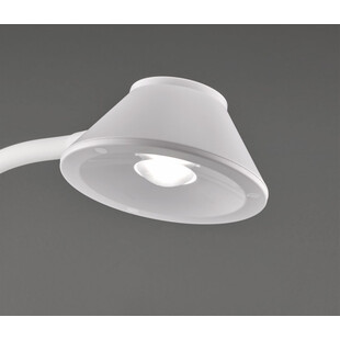 Lampa biurkowa Berry LED biała Reality - Nowoczesne oświetlenie