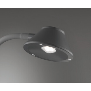 Lampa biurkowa Berry LED tytanowa Reality - Nowoczesne oświetlenie