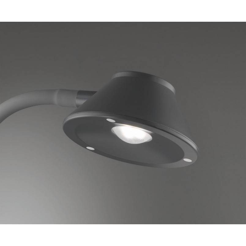 Lampa biurkowa Berry LED tytanowa Reality - Nowoczesne oświetlenie
