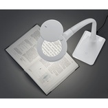 Lampa biurkowa Lupo LED biała Trio - Nowoczesne oświetlenie