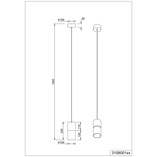 Lampa wisząca Trio Robin: Szkło dymione, mosiądz - Kup teraz!