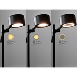 Lampa podłogowa LED czarna Clyde | Nordlux - Nowoczesny design