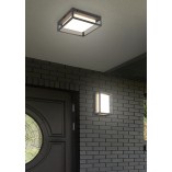 Kinkiet elewacyjny Witham LED antracyt | Trio - Oświetlenie zewnętrzne