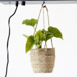 Lampa wisząca drewniana Bankwood | Brilliant - 80cm