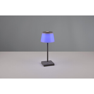 Lampa zewnętrzna na stół z usb i ściemniaczem Sanchez LED antracyt Reality