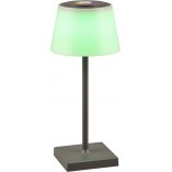 Lampa zewnętrzna na stół z usb i ściemniaczem Sanchez LED antracyt Reality
