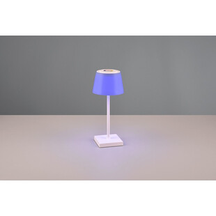 Lampa zewnętrzna na stół z usb i ściemniaczem Sanchez LED biała Reality