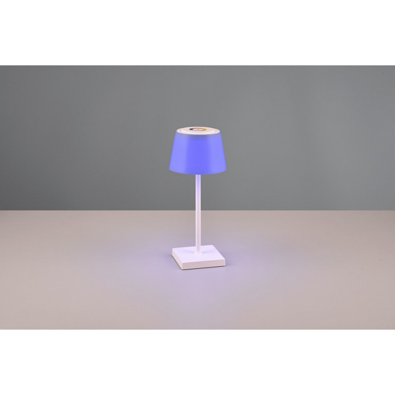 Lampa zewnętrzna na stół z usb i ściemniaczem Sanchez LED biała Reality