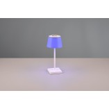Lampa zewnętrzna na stół z usb i ściemniaczem Sanchez LED biała Reality