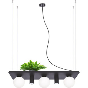 Lampa wisząca Plant Shelf 80cm czarna - ZumaLine | Oświetlenie