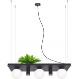 Lampa wisząca Plant Shelf 80cm czarna - ZumaLine | Oświetlenie