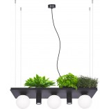 Lampa wisząca Plant Shelf 80cm czarna - ZumaLine | Oświetlenie