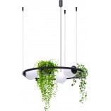 Lampa wisząca ZumaLine Plant: Białe kule, kwietniki | Kup online