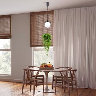 Lampa wisząca kula szklana z kwietnikiem - ZumaLine Plant | Oświetlenie