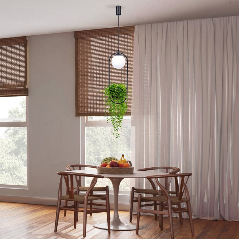 Lampa wisząca kula szklana z kwietnikiem - ZumaLine Plant | Oświetlenie
