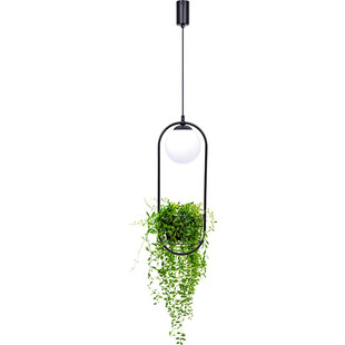 Lampa wisząca kula szklana z kwietnikiem - ZumaLine Plant | Oświetlenie