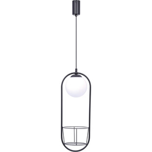 Lampa wisząca kula szklana z kwietnikiem - ZumaLine Plant | Oświetlenie