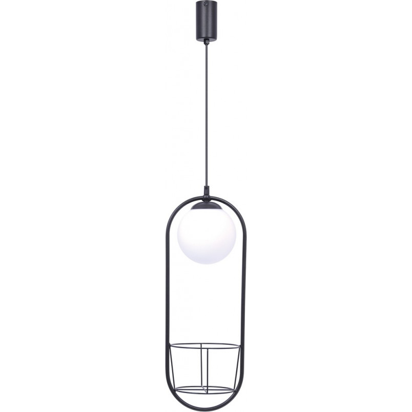 Lampa wisząca kula szklana z kwietnikiem - ZumaLine Plant | Oświetlenie