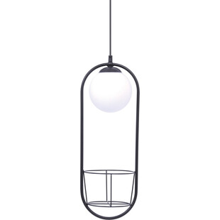 Lampa wisząca kula szklana z kwietnikiem - ZumaLine Plant | Oświetlenie