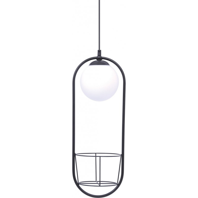 Lampa wisząca kula szklana z kwietnikiem - ZumaLine Plant | Oświetlenie