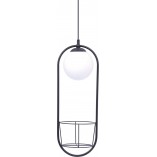 Lampa wisząca kula szklana z kwietnikiem - ZumaLine Plant | Oświetlenie