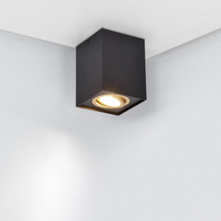 Lampa spot Trio Biscuit czarno-złota | Loftowa, GU10