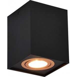 Lampa spot Trio Biscuit czarno-złota | Loftowa, GU10