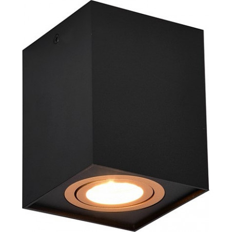 Lampa spot Trio Biscuit czarno-złota | Loftowa, GU10