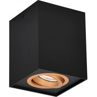 Lampa spot Trio Biscuit czarno-złota | Loftowa, GU10