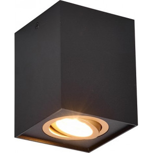 Lampa spot Trio Biscuit czarno-złota | Loftowa, GU10