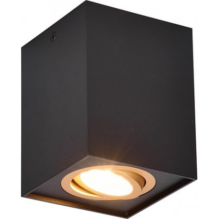 Lampa spot Trio Biscuit czarno-złota | Loftowa, GU10