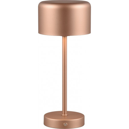 Lampa stołowa LED Jeff | Minimalistyczny design, USB | Reality