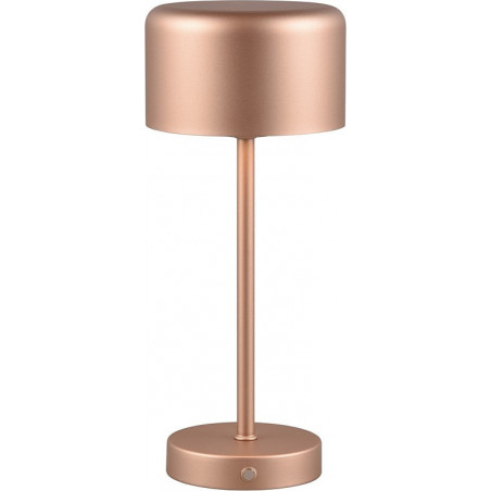 Lampa stołowa LED Jeff | Minimalistyczny design, USB | Reality