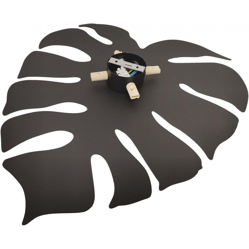 Kinkiet ścienny Monstera XL czarny | TK Lighting - Nowoczesny design