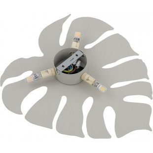 Kinkiet Monstera II beżowy TK Lighting | Skandynawski Design