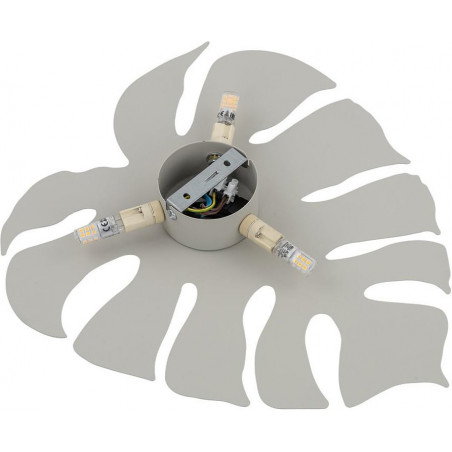 Kinkiet Monstera II beżowy TK Lighting | Skandynawski Design