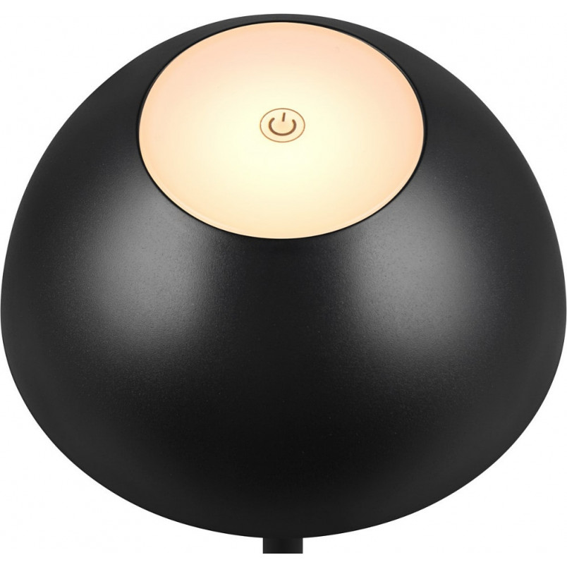 Lampa Ricardo LED - Elegancja i funkcjonalność w Twoim ogrodzie