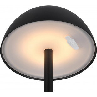 Lampa Ricardo LED - Elegancja i funkcjonalność w Twoim ogrodzie