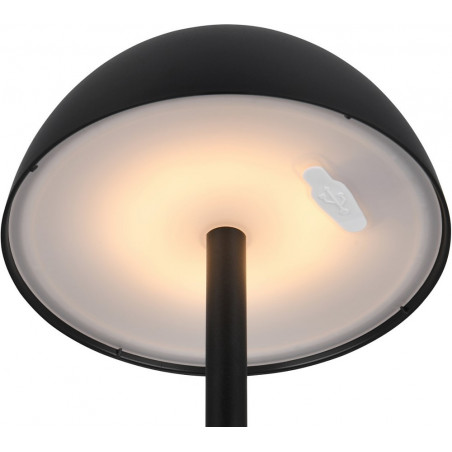 Lampa Ricardo LED - Elegancja i funkcjonalność w Twoim ogrodzie
