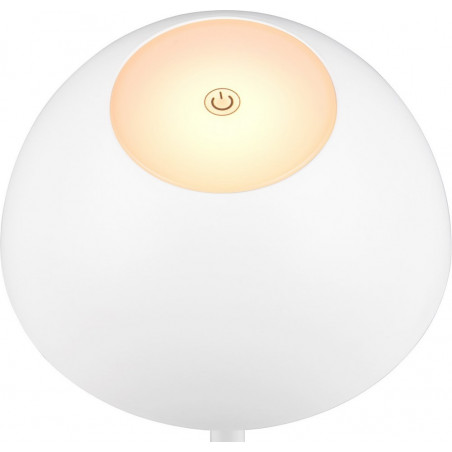 Lampa zewnętrzna Ricardo LED - biała, nowoczesna | Reality