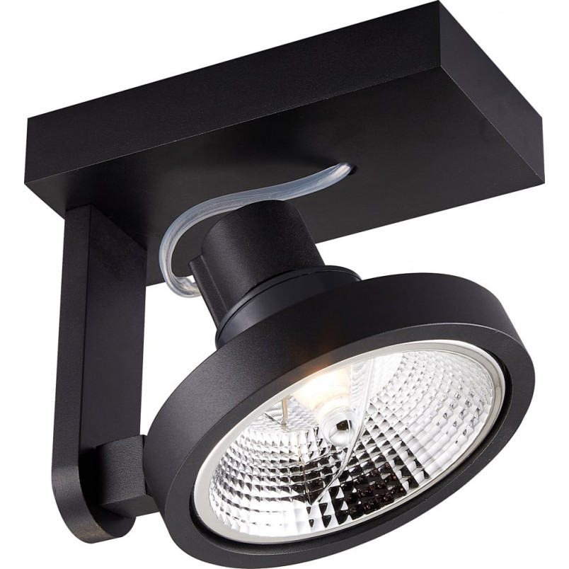 Reflektor sufitowy czarny Master AC - ZumaLine | Sklep z lampami