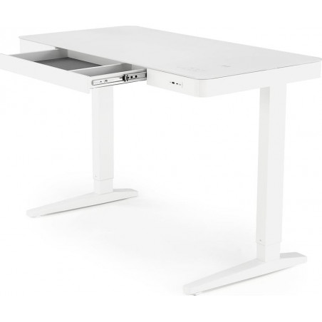 Biurko Halmar B52: Regulacja wysokości, USB, Białe 120x60