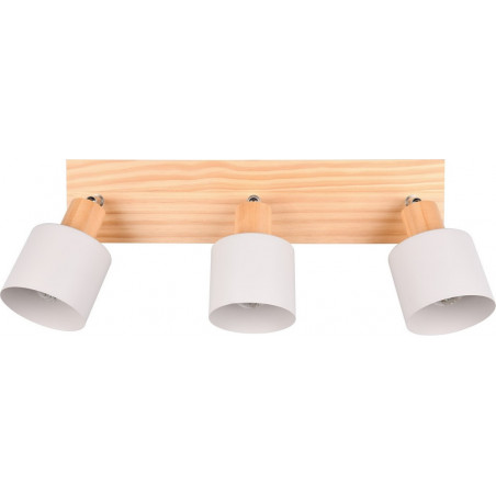 Reflektor sufitowy Shanti III | Trio - Skandynawski Design