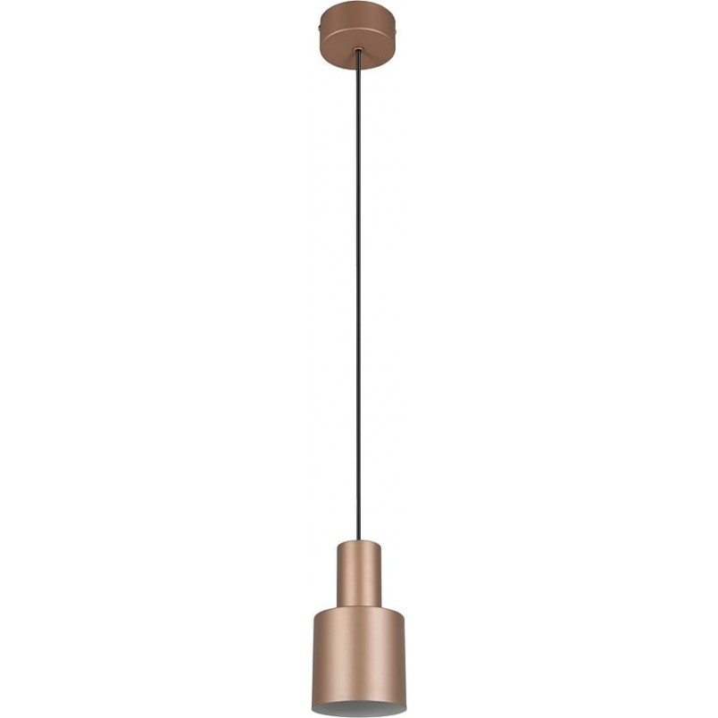 Lampa wisząca Trio Agudo | Brązowa, E27 - Kup online
