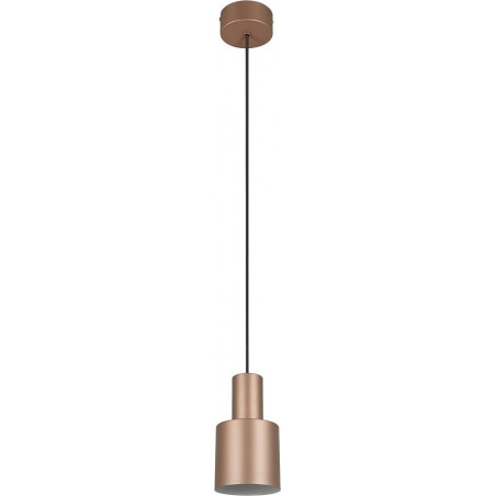 Lampa wisząca Trio Agudo | Brązowa, E27 - Kup online