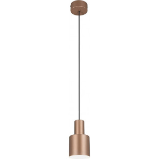 Lampa wisząca Trio Agudo | Brązowa, E27 - Kup online